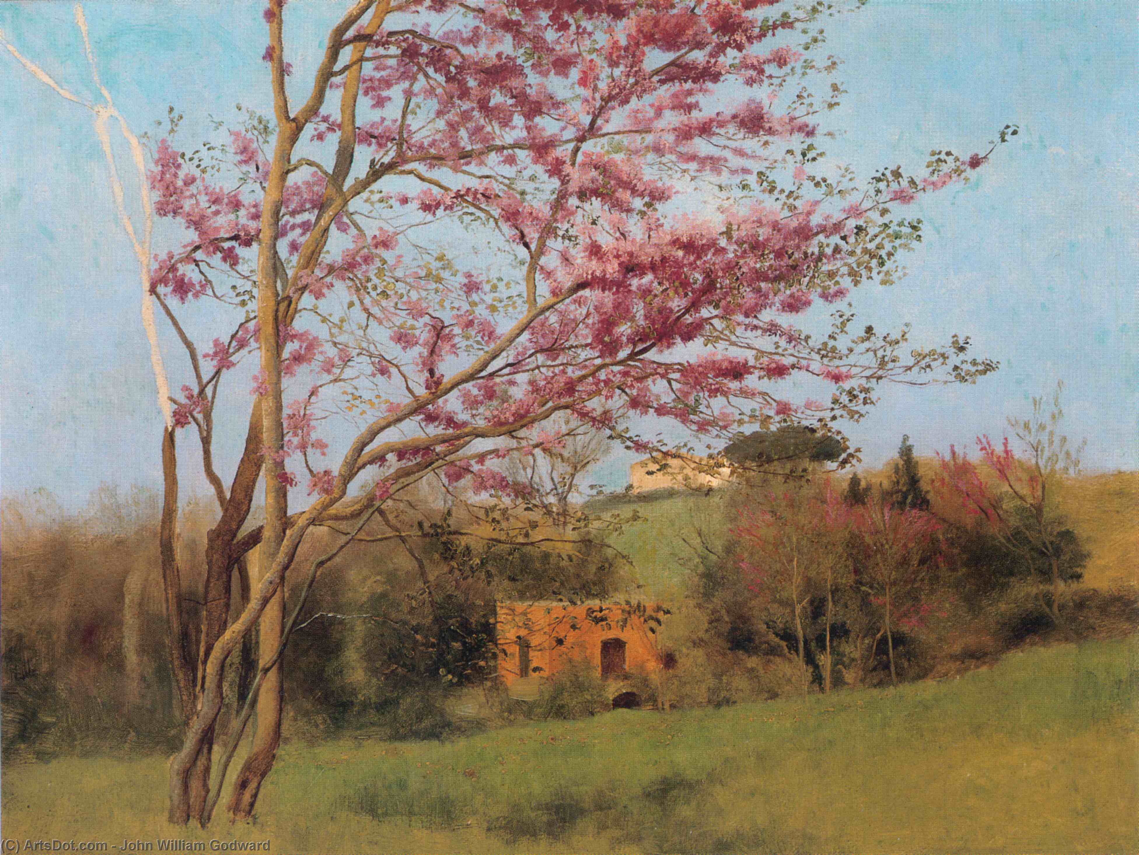 WikiOO.org - אנציקלופדיה לאמנויות יפות - ציור, יצירות אמנות John William Godward - Landscape. Blossoming Red Almond [study]