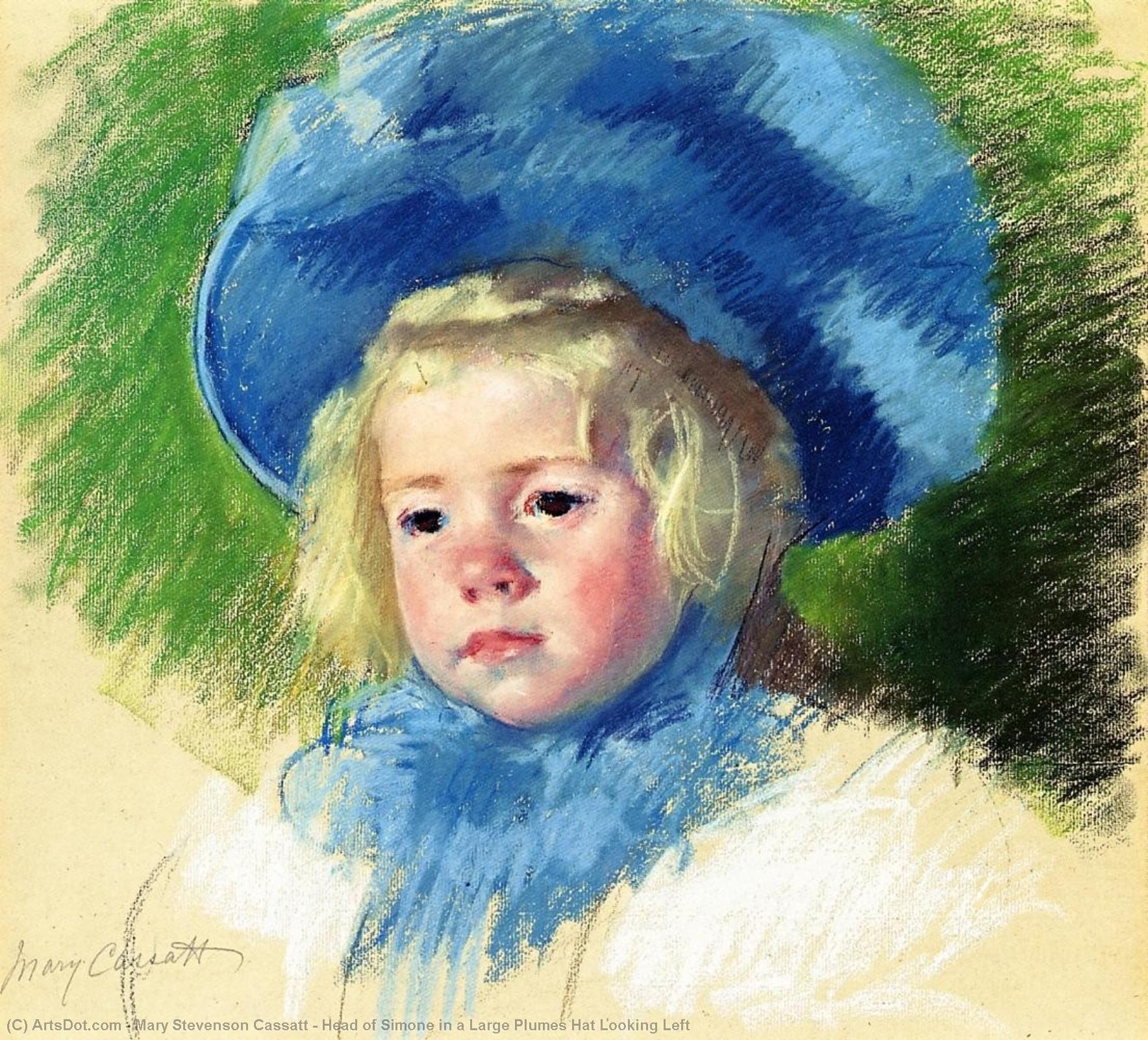 Wikioo.org - The Encyclopedia of Fine Arts - Painting, Artwork by Mary Stevenson Cassatt - Head of Simone in a Large Plumes Hat Looking Left