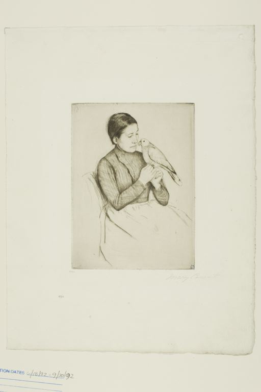 Wikioo.org - The Encyclopedia of Fine Arts - Painting, Artwork by Mary Stevenson Cassatt - The Parrot