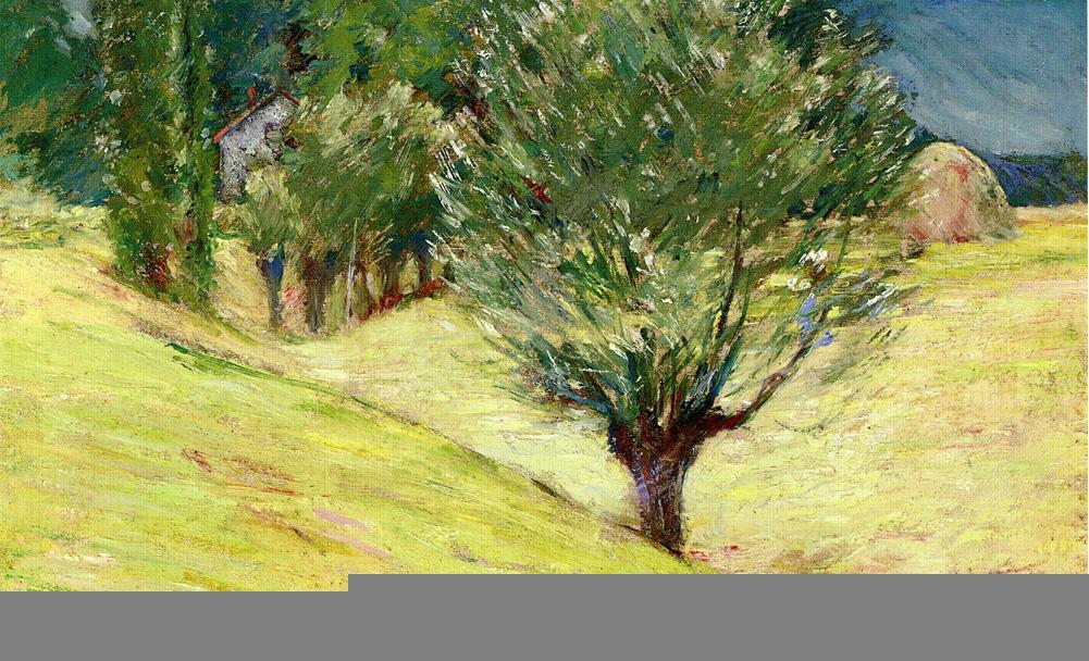 Wikioo.org - Bách khoa toàn thư về mỹ thuật - Vẽ tranh, Tác phẩm nghệ thuật Theodore Robinson - Giverny 1