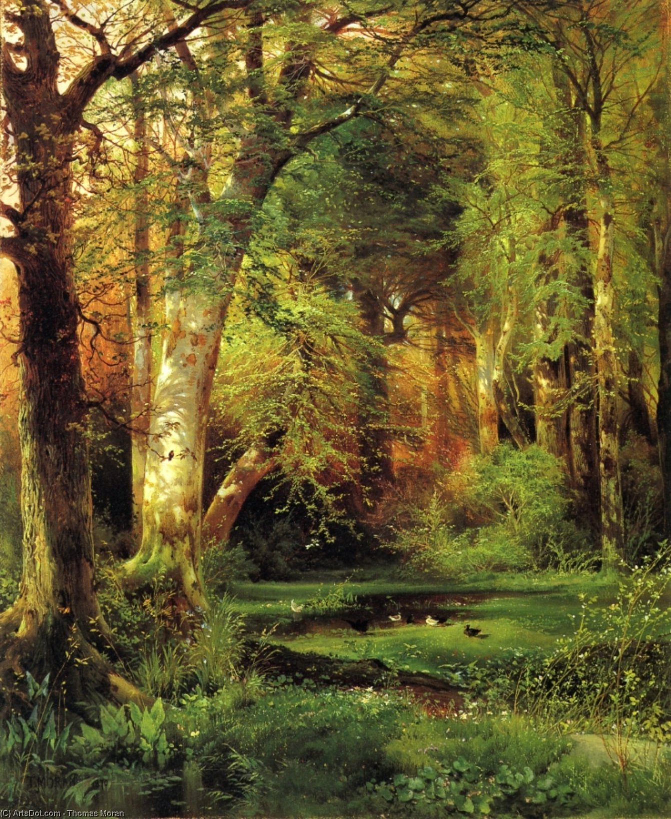 Wikioo.org – La Enciclopedia de las Bellas Artes - Pintura, Obras de arte de Thomas Moran - bosque escena