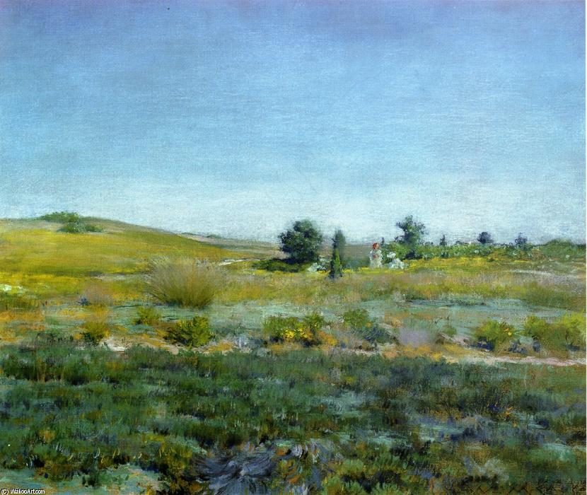 Wikioo.org - The Encyclopedia of Fine Arts - Painting, Artwork by William Merritt Chase - Gray Day in Spring (aka Summer)