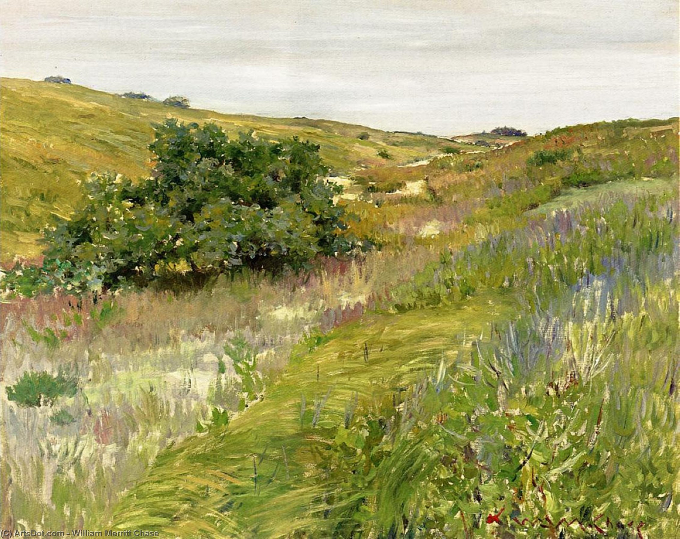Wikioo.org - The Encyclopedia of Fine Arts - Painting, Artwork by William Merritt Chase - Landscape, Shinnecock Hills