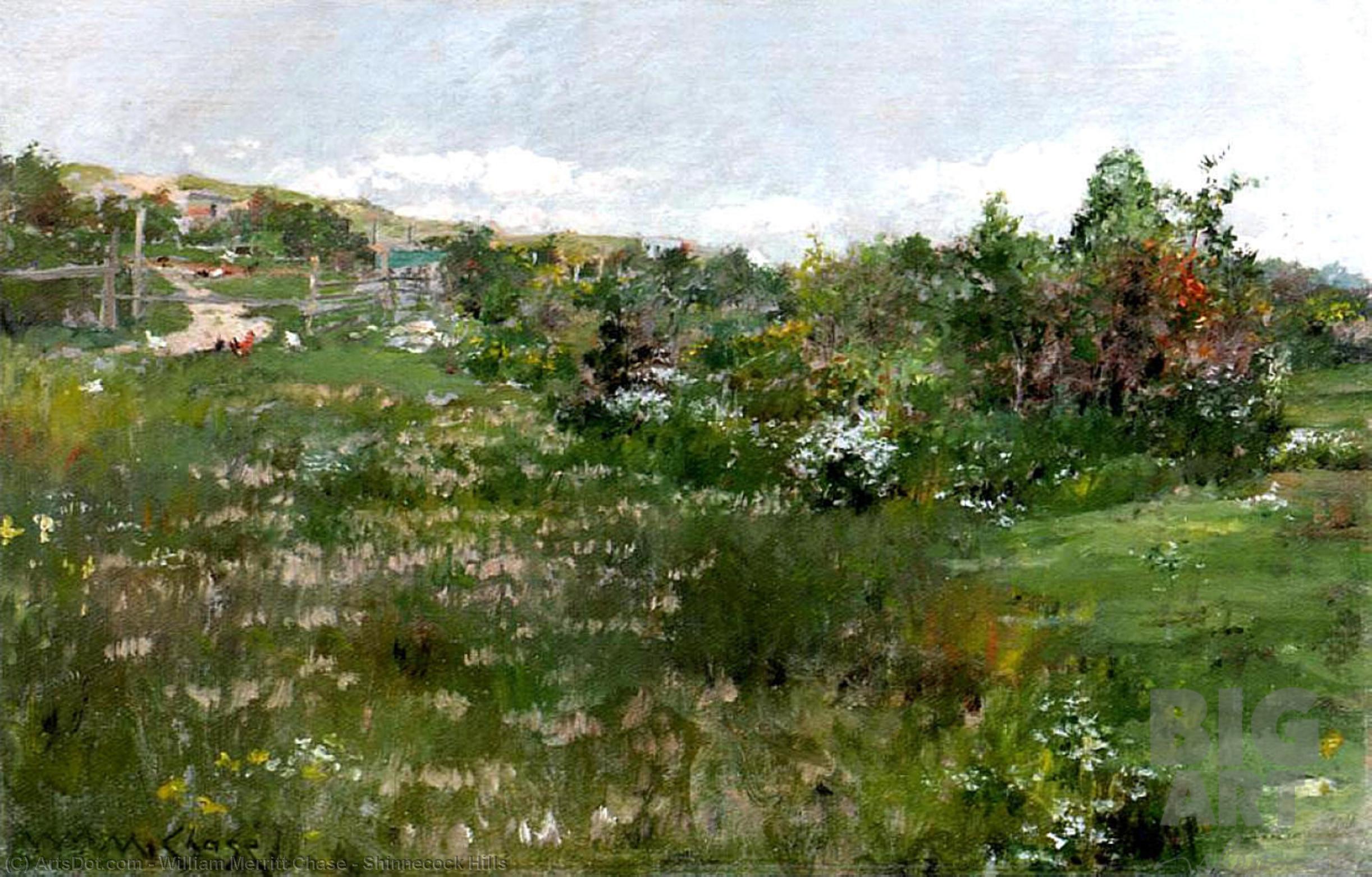 Wikioo.org - The Encyclopedia of Fine Arts - Painting, Artwork by William Merritt Chase - Shinnecock Hills