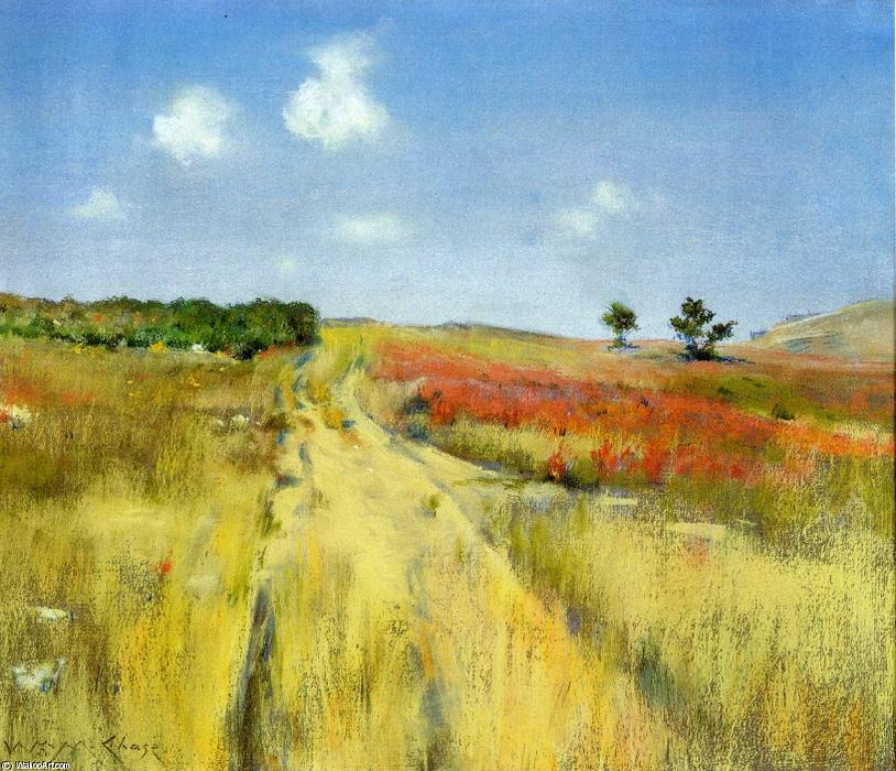 Wikioo.org - The Encyclopedia of Fine Arts - Painting, Artwork by William Merritt Chase - Shinnecock Hills 3