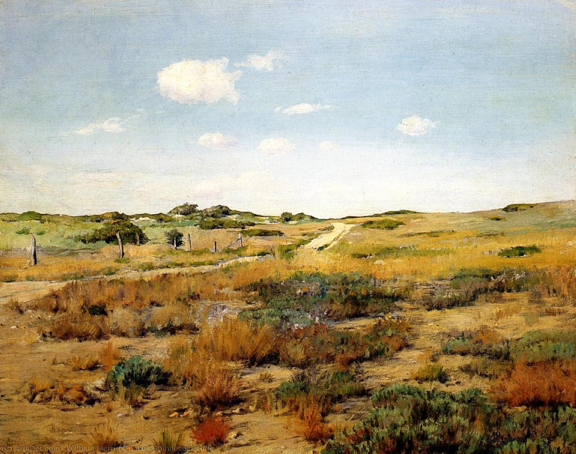 Wikioo.org - The Encyclopedia of Fine Arts - Painting, Artwork by William Merritt Chase - Shinnecock Hills