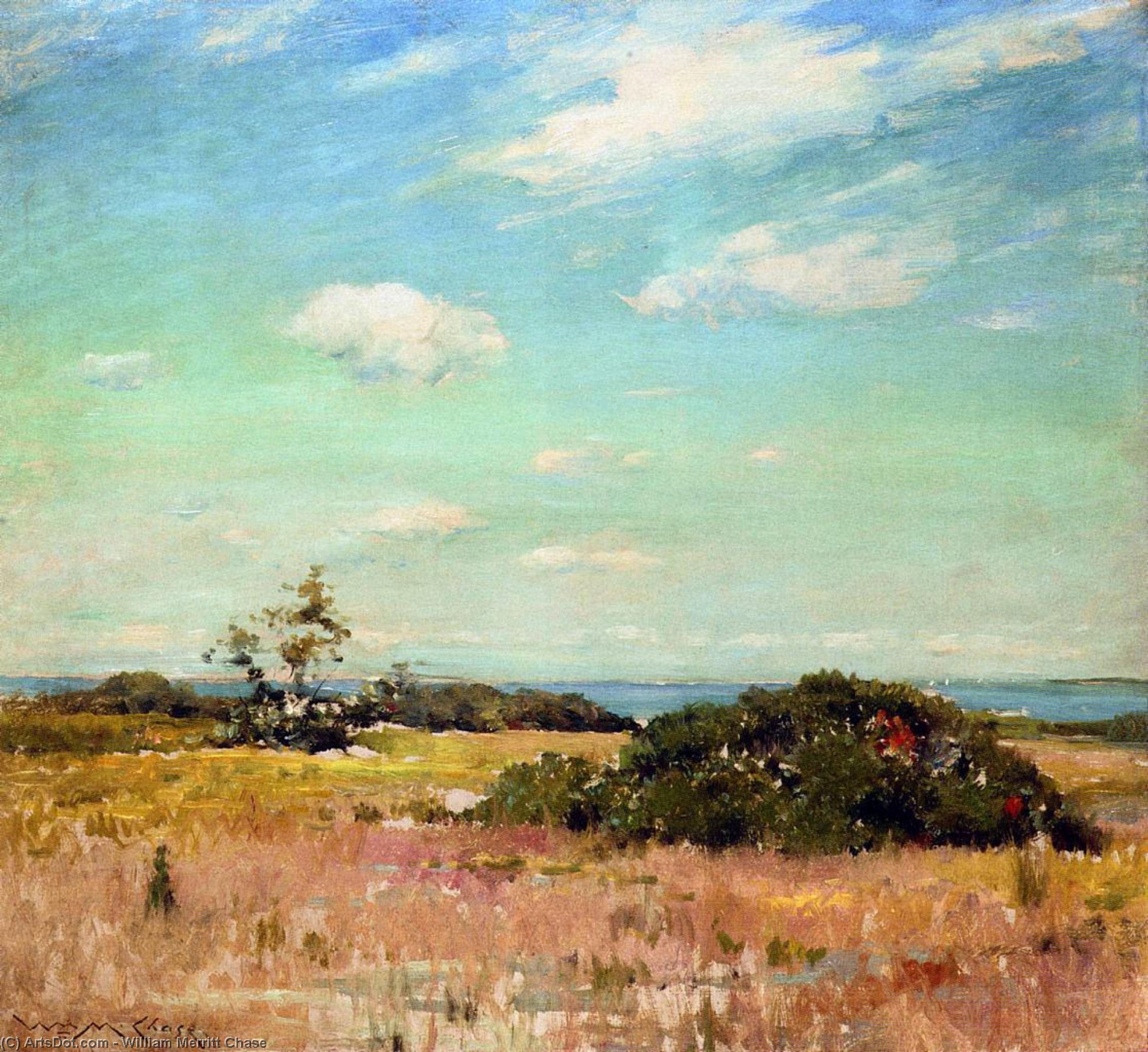 Wikioo.org - The Encyclopedia of Fine Arts - Painting, Artwork by William Merritt Chase - Shinnecock Hills, Long Island