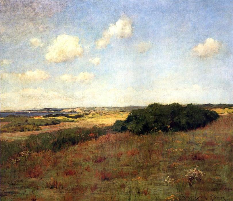 Wikioo.org - The Encyclopedia of Fine Arts - Painting, Artwork by William Merritt Chase - Sunlight and Shadow, Shinnecock Hills