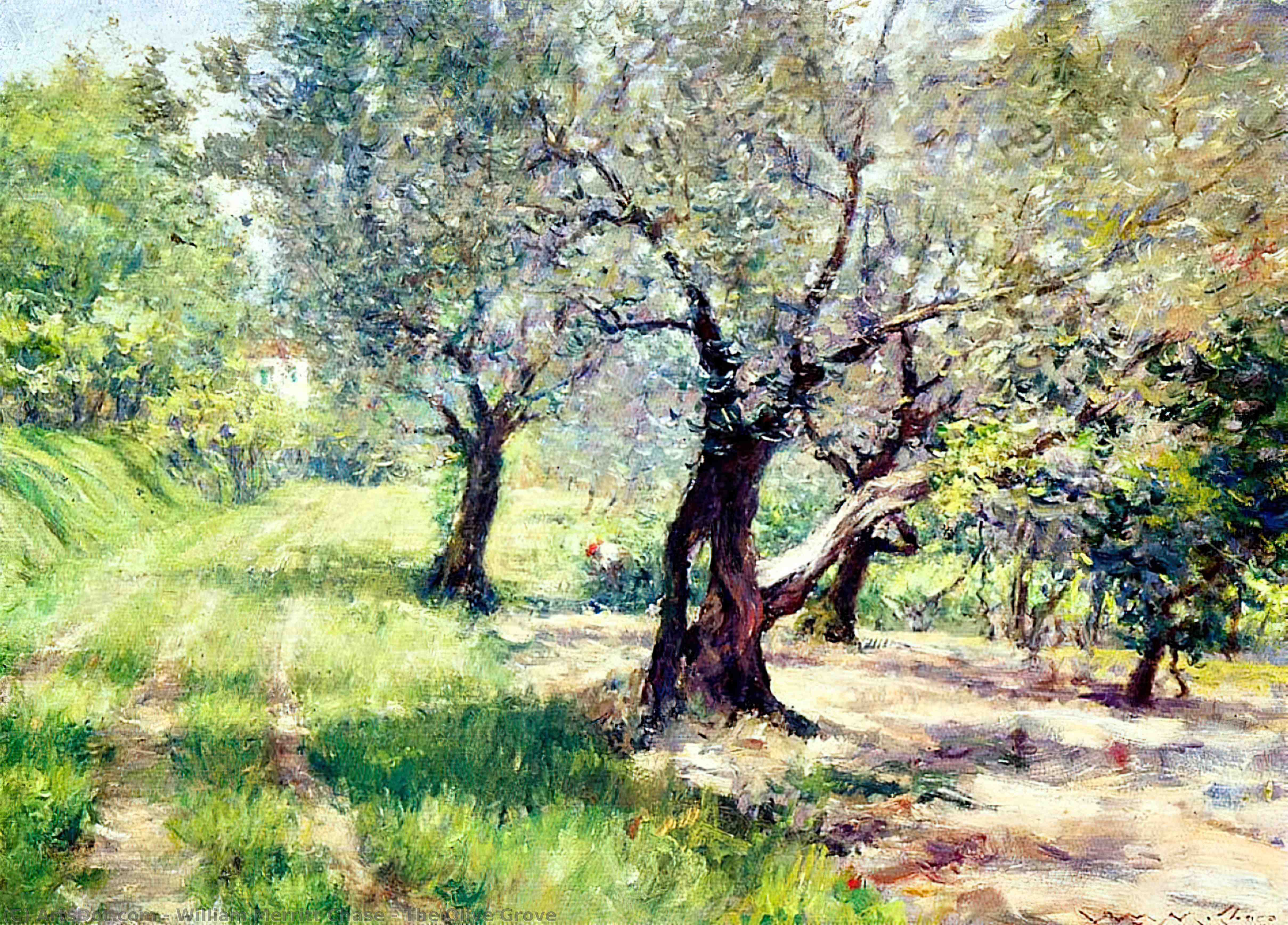 Wikioo.org – L'Enciclopedia delle Belle Arti - Pittura, Opere di William Merritt Chase - il oliva boschetto