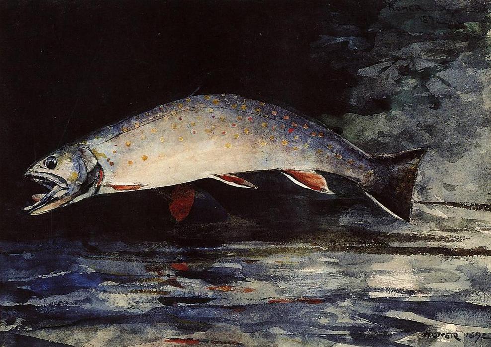 Wikioo.org - The Encyclopedia of Fine Arts - Painting, Artwork by Winslow Homer - A Brook Trout