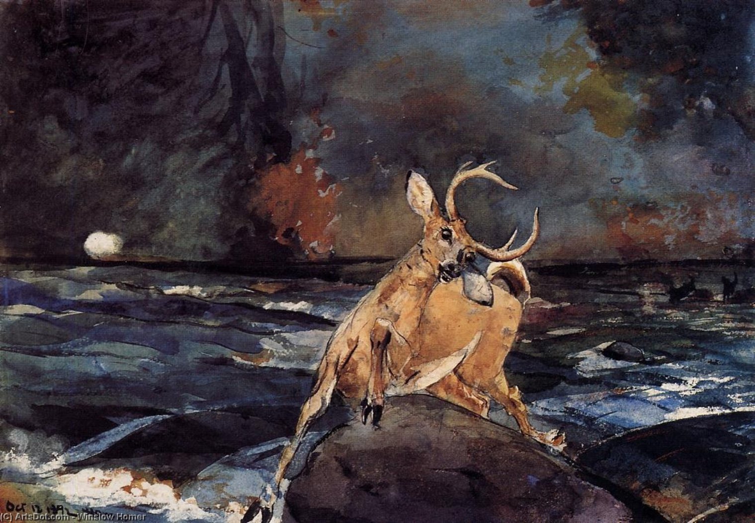 Wikioo.org - The Encyclopedia of Fine Arts - Painting, Artwork by Winslow Homer - A Good Shot, Adirondacks