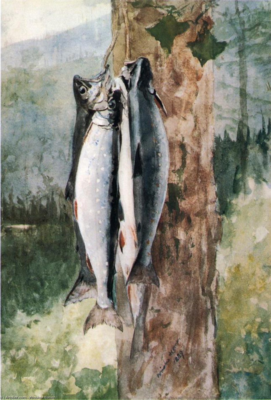 Wikioo.org - The Encyclopedia of Fine Arts - Painting, Artwork by Winslow Homer - Adirondack Catch