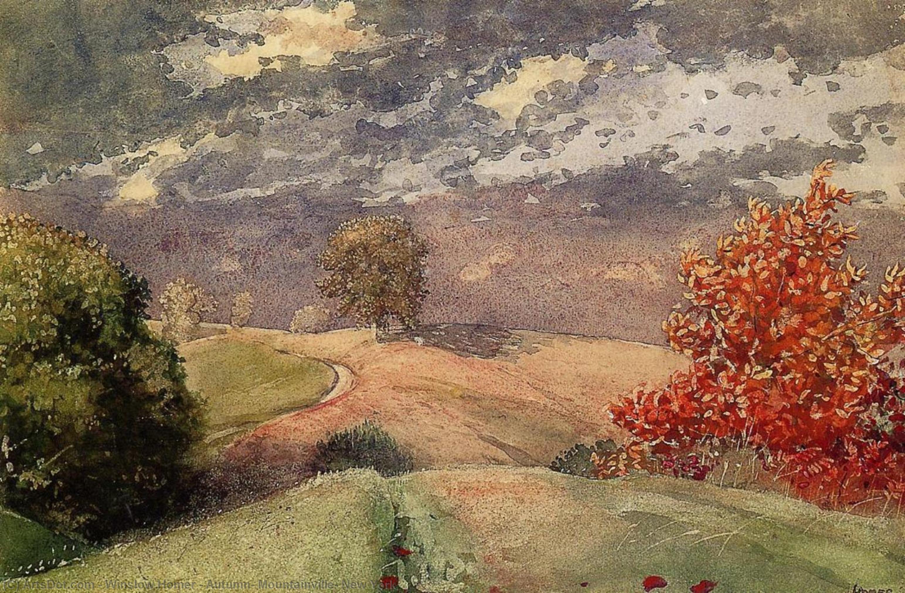 Wikioo.org – L'Encyclopédie des Beaux Arts - Peinture, Oeuvre de Winslow Homer - Automne , Mountainville , new york