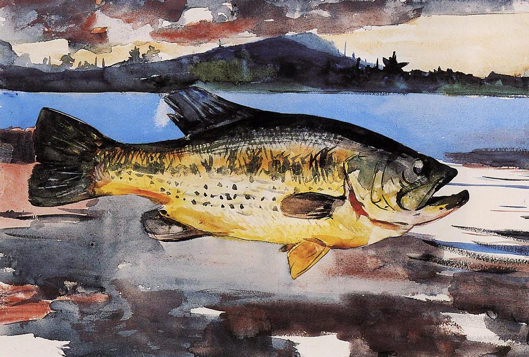 WikiOO.org - Енциклопедія образотворчого мистецтва - Живопис, Картини
 Winslow Homer - Bass