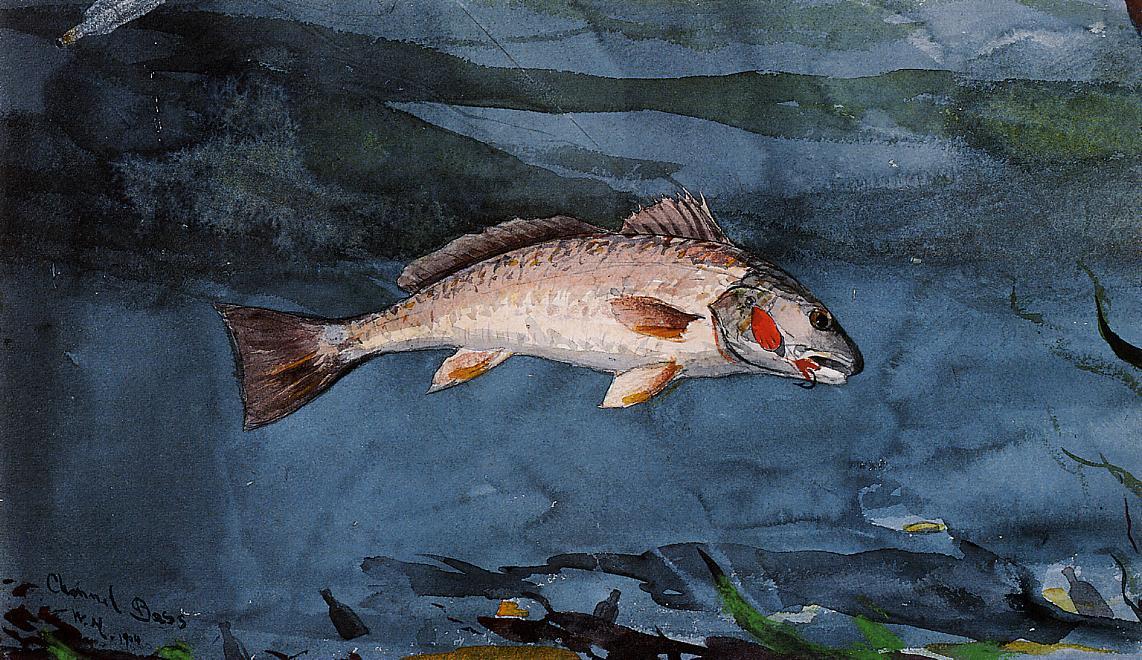 Wikioo.org - The Encyclopedia of Fine Arts - Painting, Artwork by Winslow Homer - Channel Bass, Florida