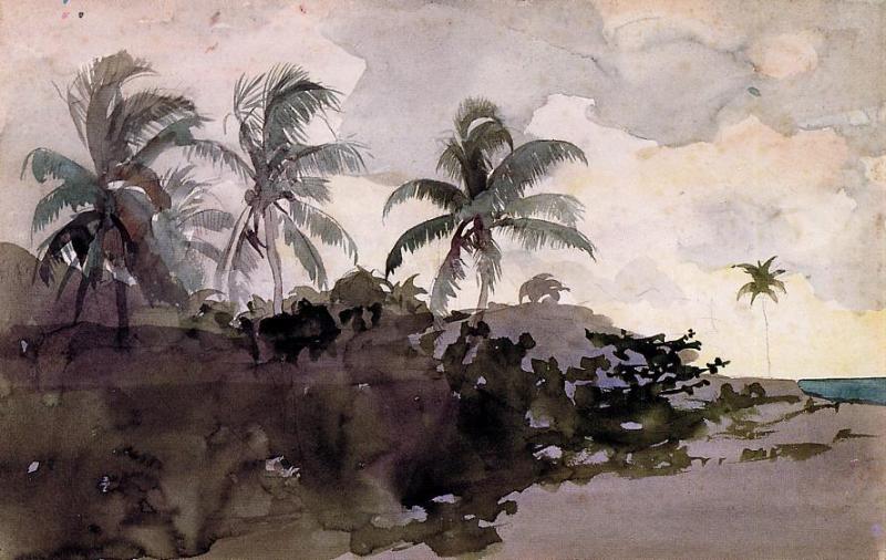 WikiOO.org - Encyclopedia of Fine Arts - Lukisan, Artwork Winslow Homer - Coconut Palms