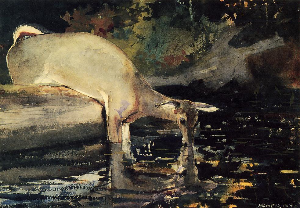 WikiOO.org - Encyclopedia of Fine Arts - Lukisan, Artwork Winslow Homer - Deer Drinking