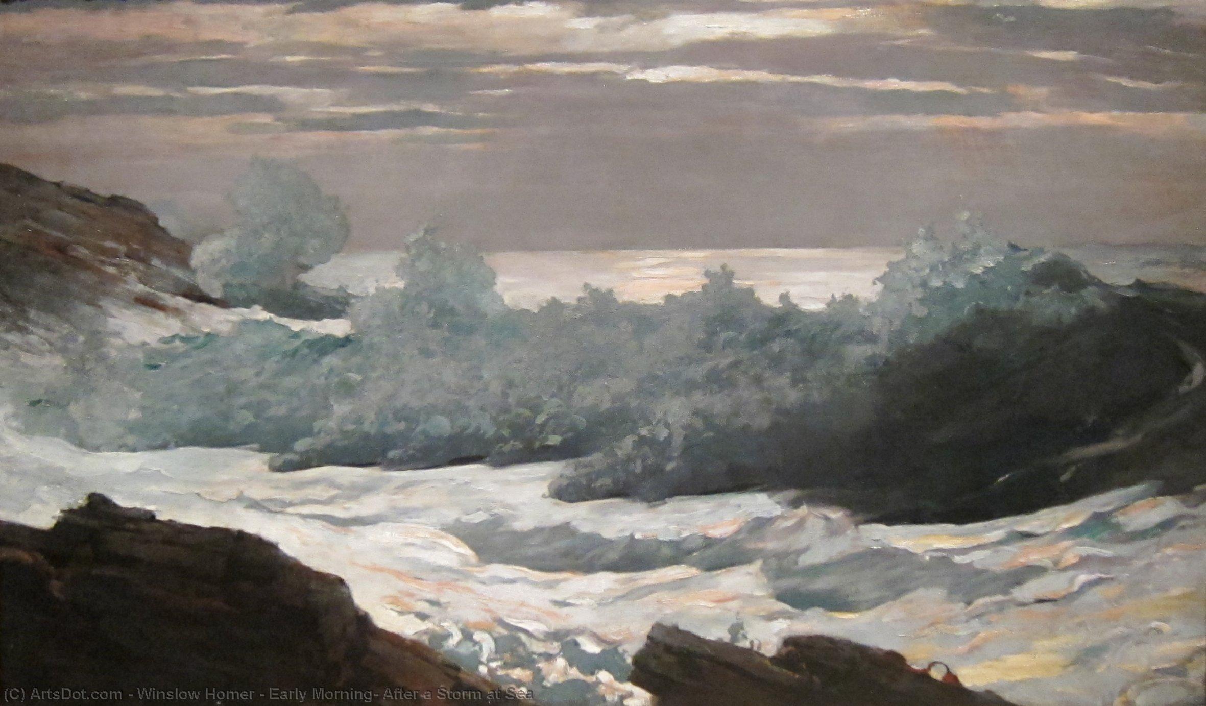 Wikioo.org – La Enciclopedia de las Bellas Artes - Pintura, Obras de arte de Winslow Homer - por la mañana temprano detrásde  Un  tormenta  a  foca