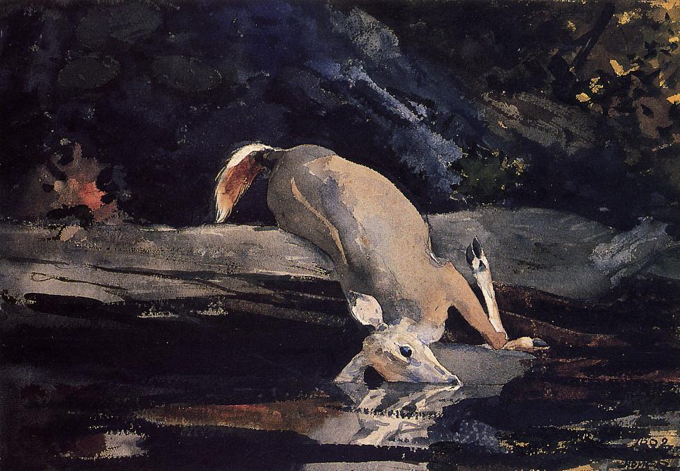 Wikioo.org - Encyklopedia Sztuk Pięknych - Malarstwo, Grafika Winslow Homer - Fallen Deer