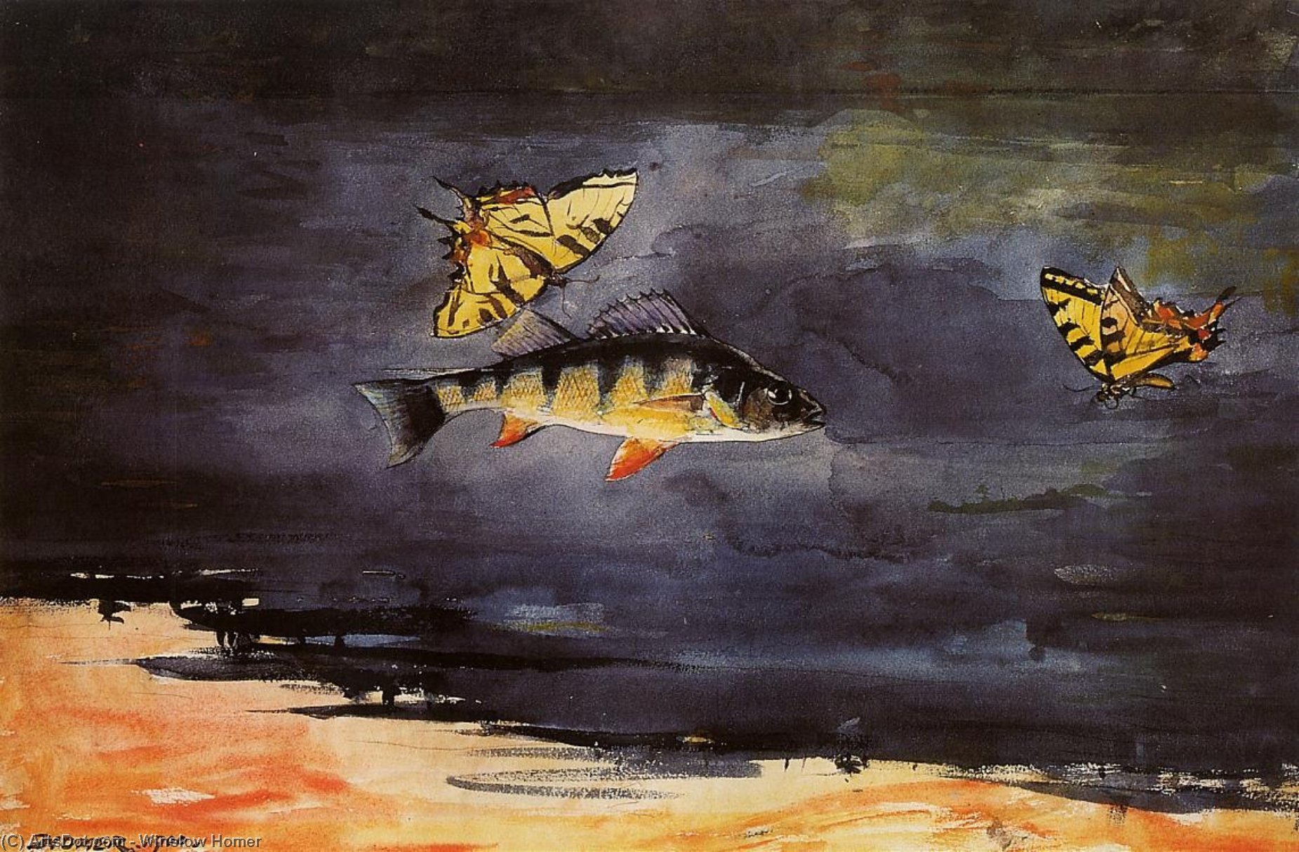 WikiOO.org - Encyclopedia of Fine Arts - Lukisan, Artwork Winslow Homer - Fish and Butterflies