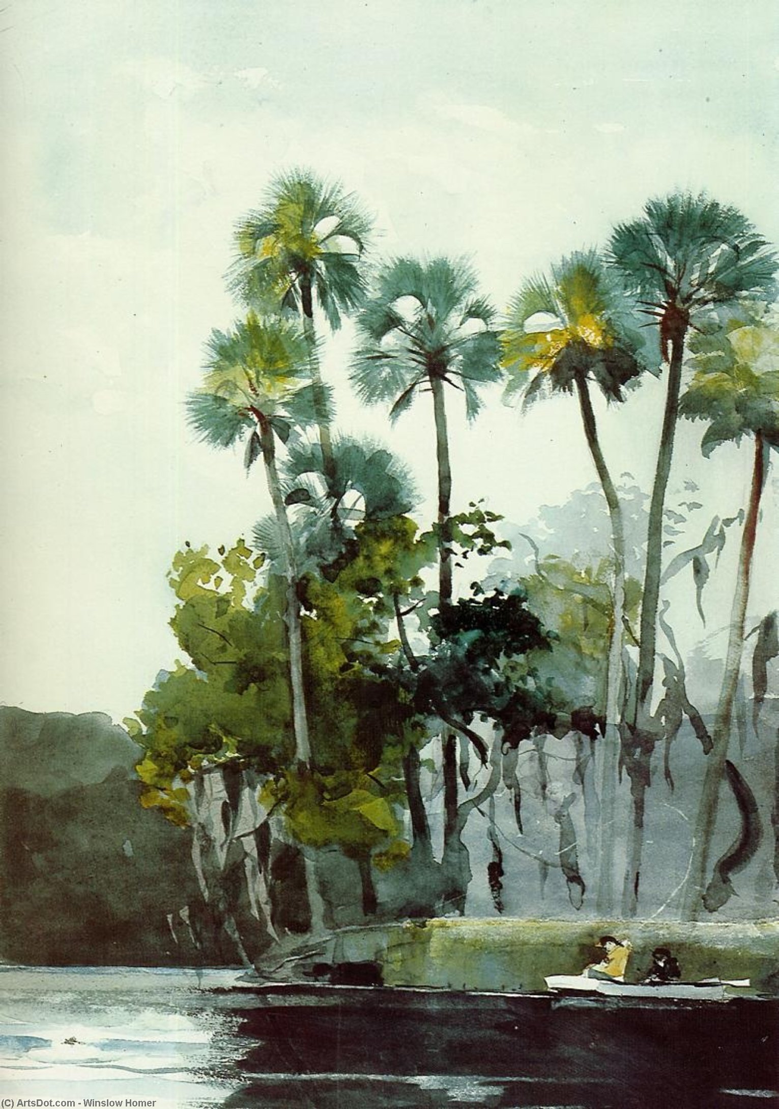 Wikioo.org - Encyklopedia Sztuk Pięknych - Malarstwo, Grafika Winslow Homer - Homosassa River
