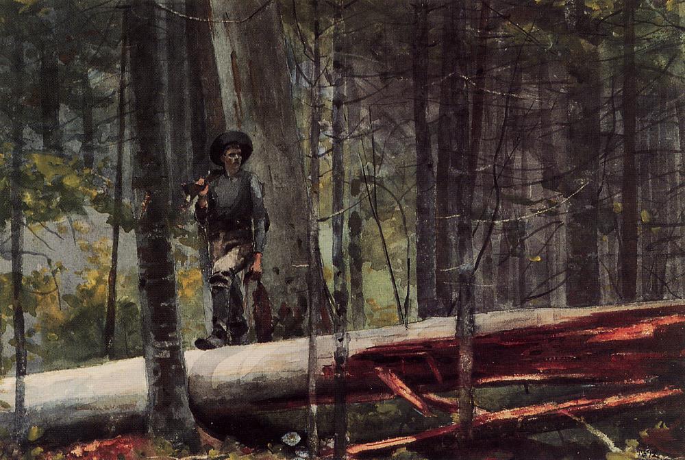 Wikioo.org - Encyklopedia Sztuk Pięknych - Malarstwo, Grafika Winslow Homer - Hunter in the Adirondacks