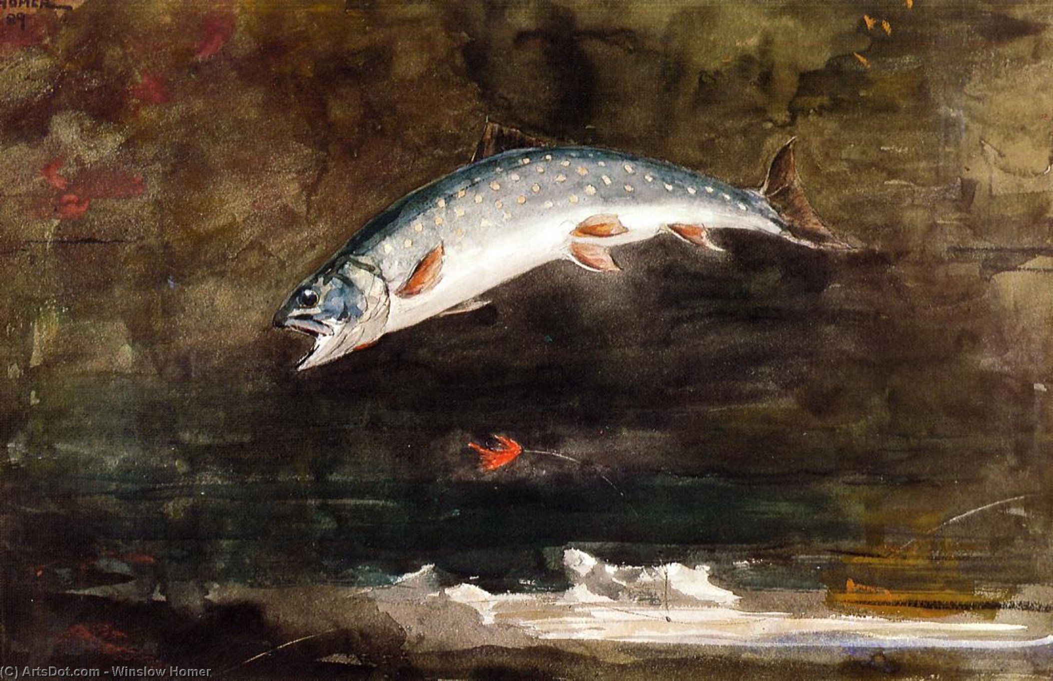 Wikioo.org - The Encyclopedia of Fine Arts - Painting, Artwork by Winslow Homer - Jumping Trout