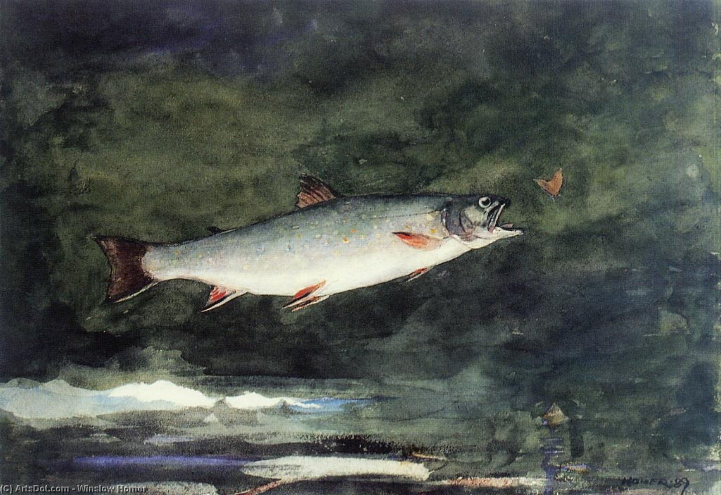 WikiOO.org - Encyclopedia of Fine Arts - Maalaus, taideteos Winslow Homer - Leaping Trout