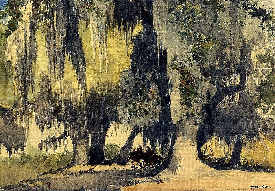 Wikioo.org - The Encyclopedia of Fine Arts - Painting, Artwork by Winslow Homer - Live Oaks
