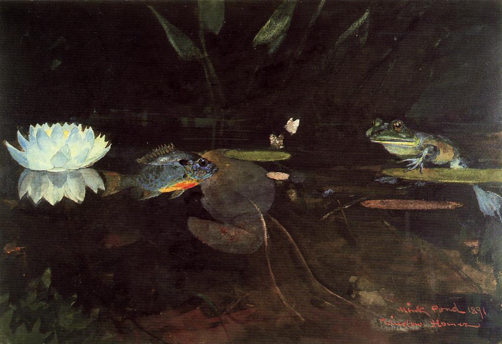 Wikioo.org - สารานุกรมวิจิตรศิลป์ - จิตรกรรม Winslow Homer - Mink Pond