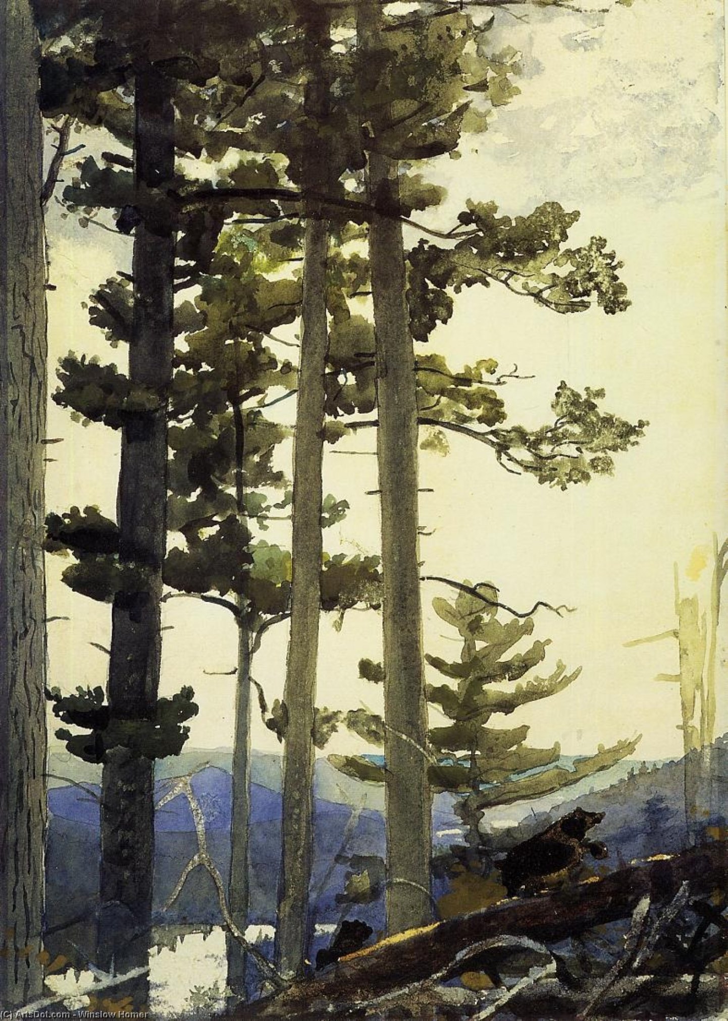 WikiOO.org - Enciclopédia das Belas Artes - Pintura, Arte por Winslow Homer - Old Settlers