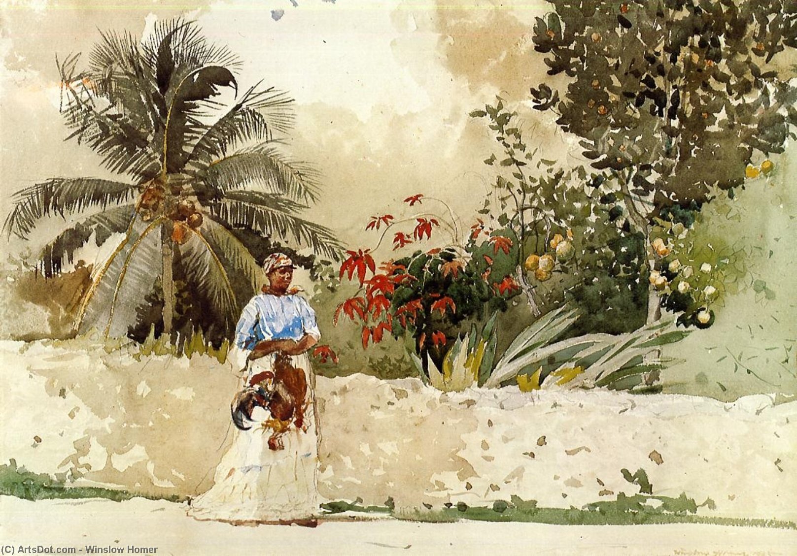 Wikioo.org - Bách khoa toàn thư về mỹ thuật - Vẽ tranh, Tác phẩm nghệ thuật Winslow Homer - On the Way to Market, Bahamas