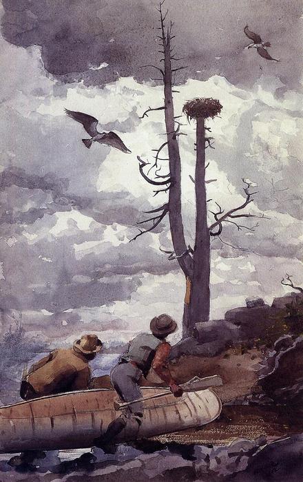 Wikioo.org - The Encyclopedia of Fine Arts - Painting, Artwork by Winslow Homer - Osprey's Nest