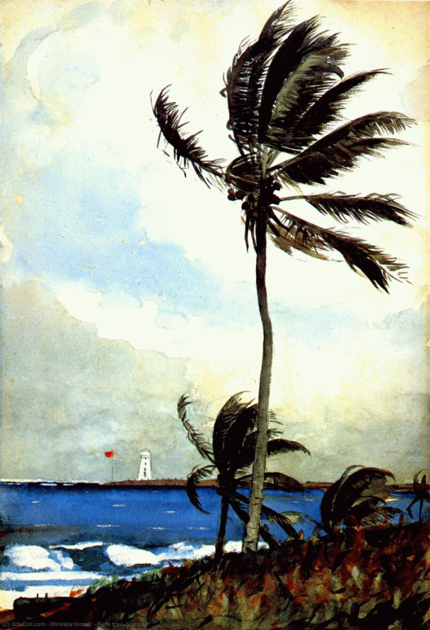 Wikioo.org - The Encyclopedia of Fine Arts - Painting, Artwork by Winslow Homer - Palm tree, Nassau