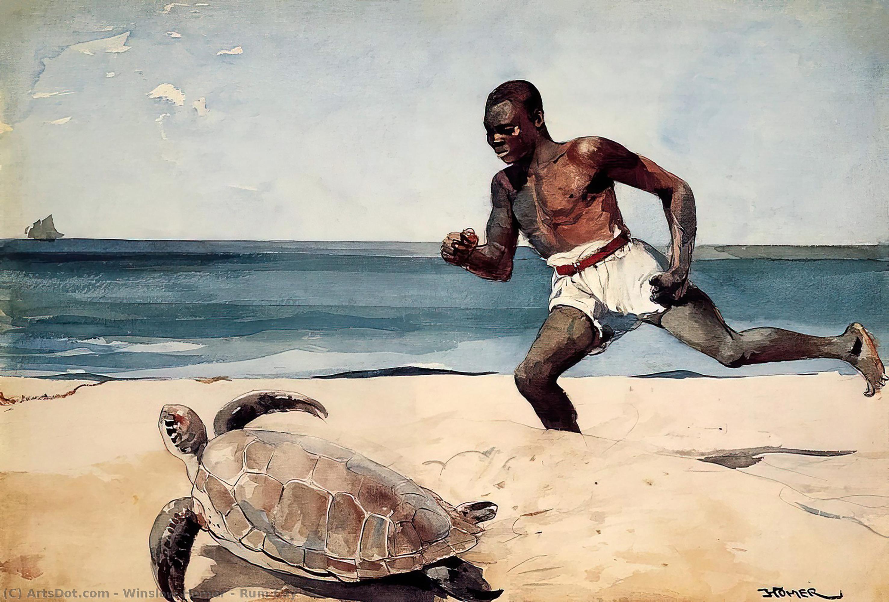 Wikioo.org - สารานุกรมวิจิตรศิลป์ - จิตรกรรม Winslow Homer - Rum Cay