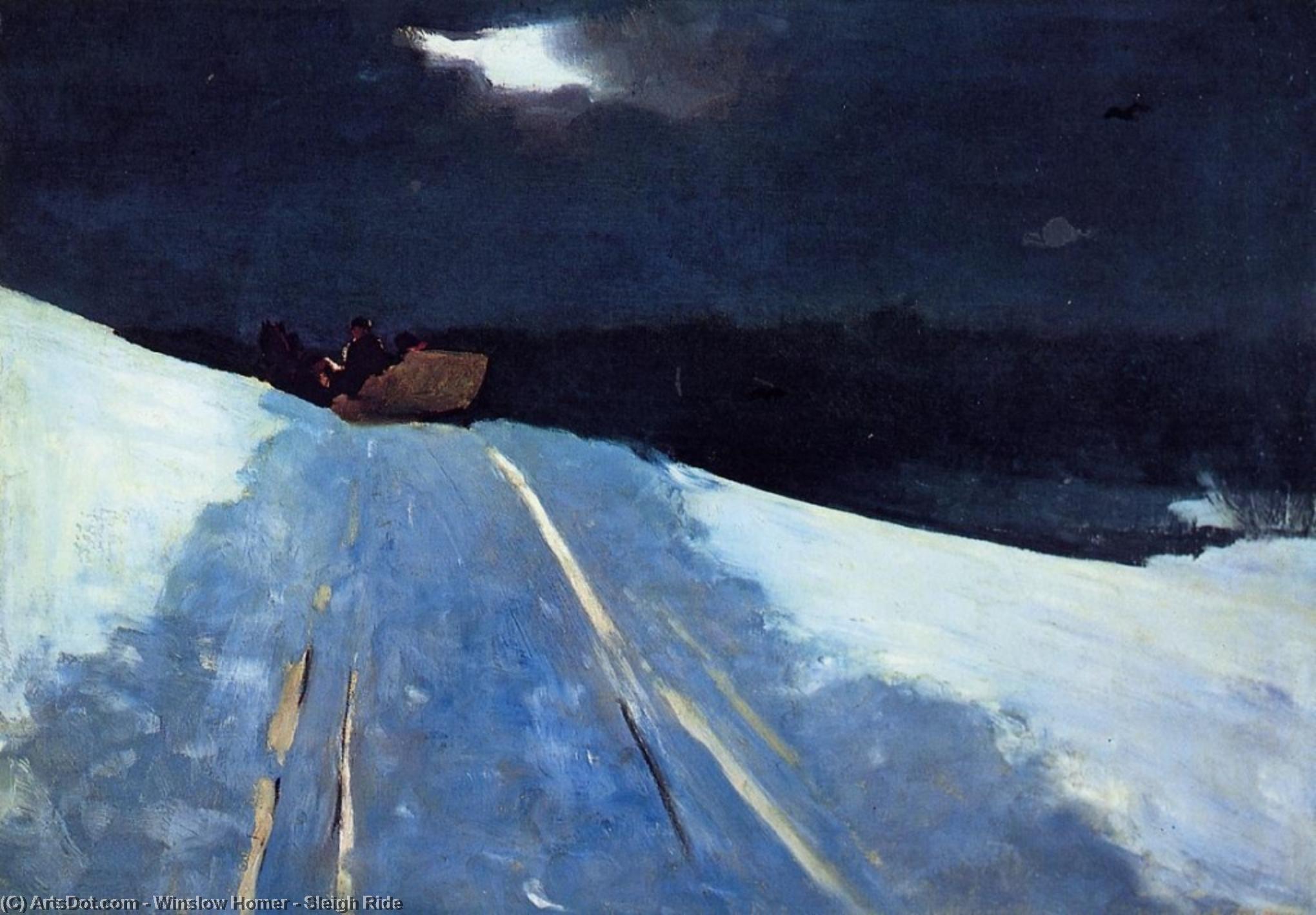 WikiOO.org - Encyclopedia of Fine Arts - Maleri, Artwork Winslow Homer - Sleigh Ride