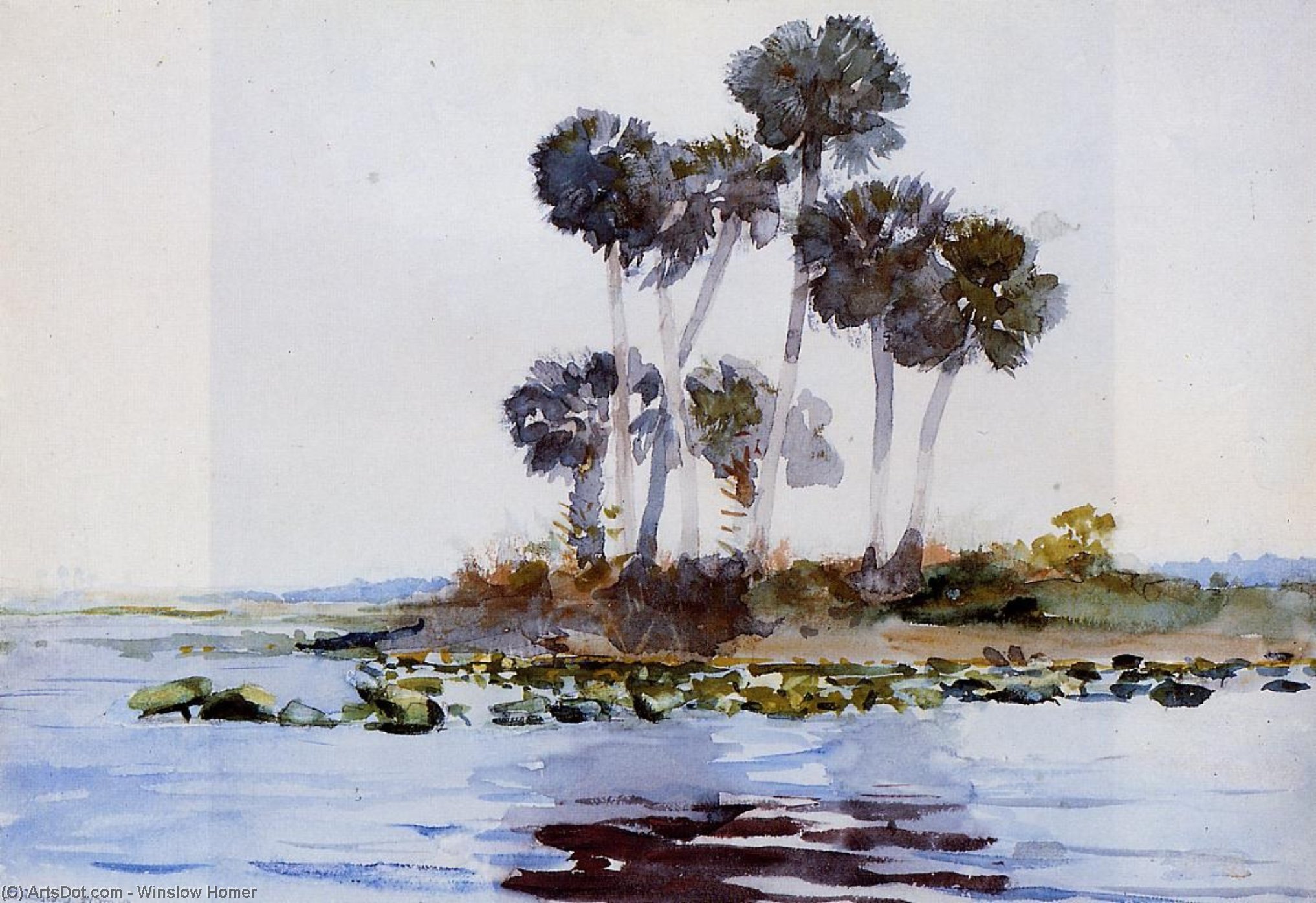 Wikioo.org - The Encyclopedia of Fine Arts - Painting, Artwork by Winslow Homer - St. John's River, Florida