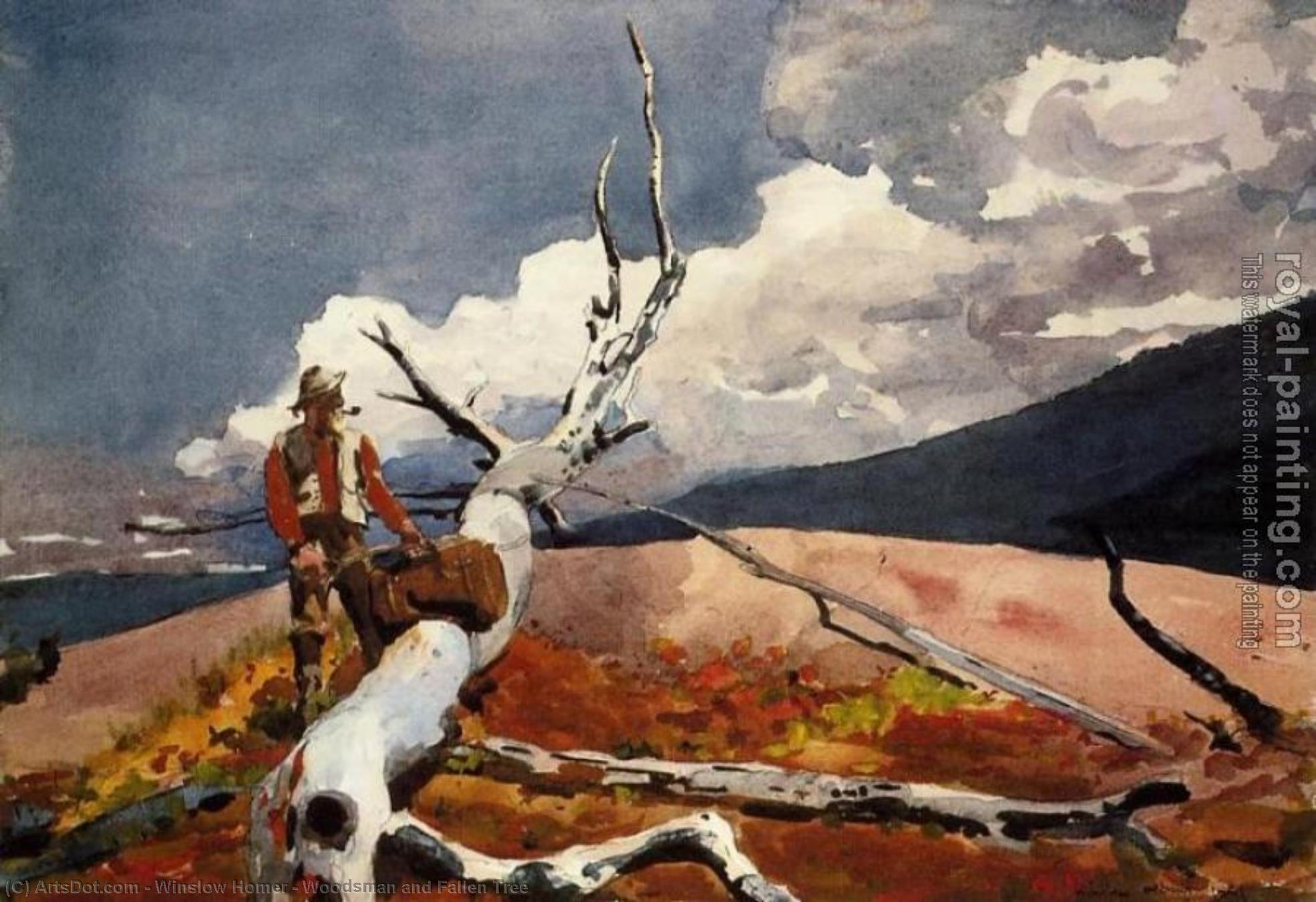 WikiOO.org - Encyclopedia of Fine Arts - Schilderen, Artwork Winslow Homer - Woodsman and Fallen Tree