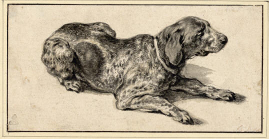 WikiOO.org - Encyclopedia of Fine Arts - Maľba, Artwork Aelbert Jacobsz Cuyp - Lying dog