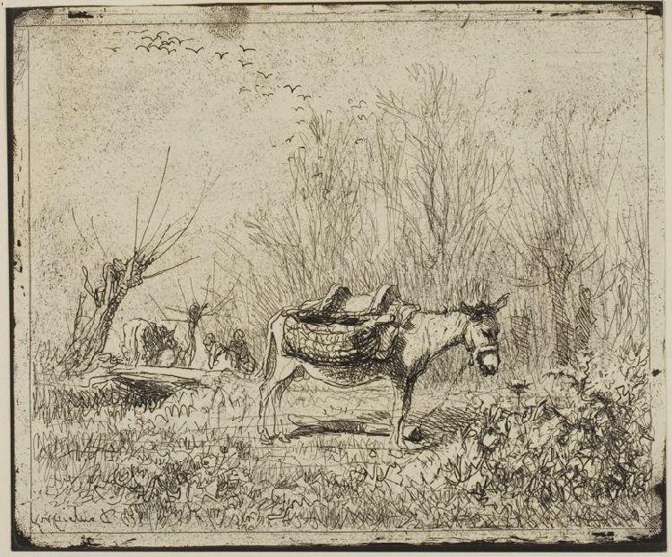 WikiOO.org - Enciclopédia das Belas Artes - Pintura, Arte por Charles François Daubigny - The Donkey in the Meadow