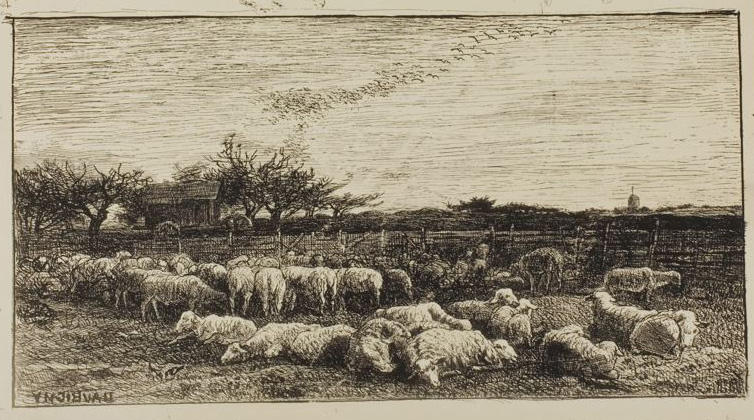 Wikoo.org - موسوعة الفنون الجميلة - اللوحة، العمل الفني Charles François Daubigny - The Large Sheepfold