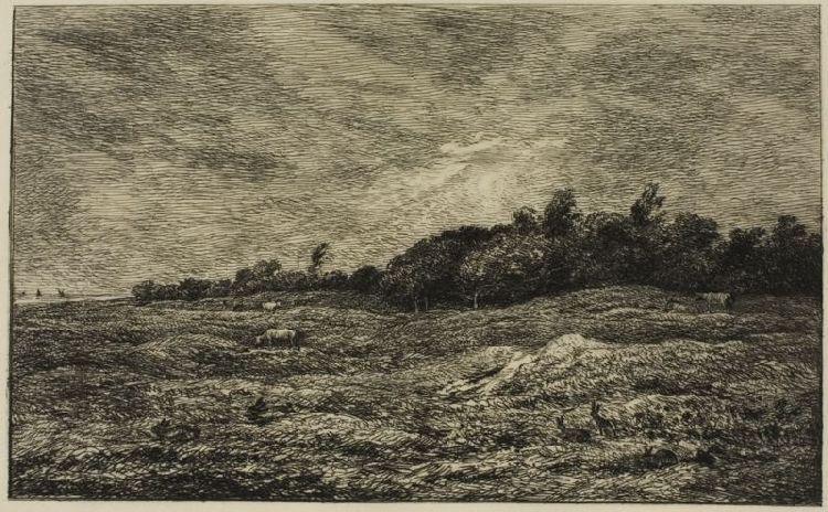 Wikioo.org - The Encyclopedia of Fine Arts - Painting, Artwork by Charles François Daubigny - The Meadow Graves Villerville (Calvados)