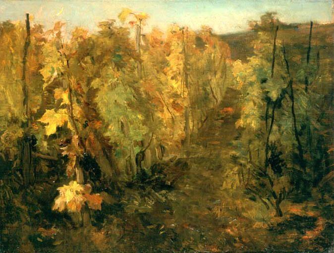 Wikioo.org - The Encyclopedia of Fine Arts - Painting, Artwork by Charles François Daubigny - The Vine