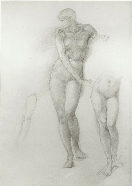 Wikioo.org - The Encyclopedia of Fine Arts - Painting, Artwork by Edward Coley Burne-Jones - study for the Perseus Series