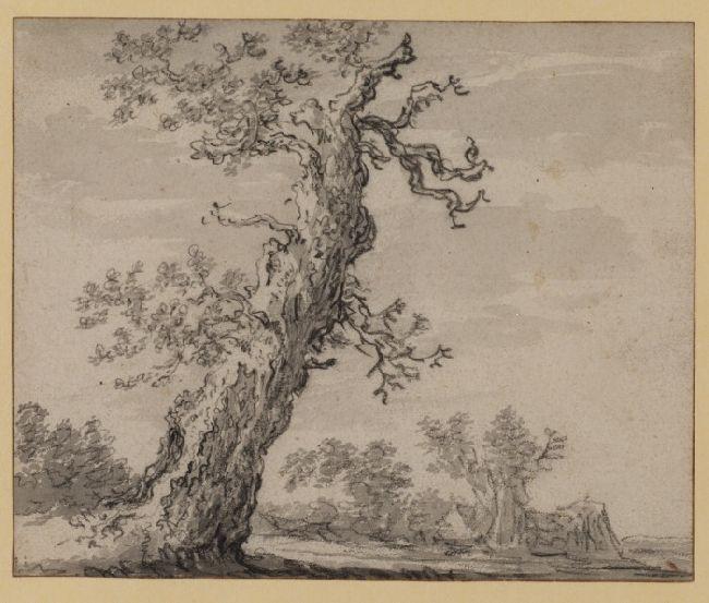 Wikioo.org - The Encyclopedia of Fine Arts - Painting, Artwork by Jan Van Goyen - Landscape with oak tree