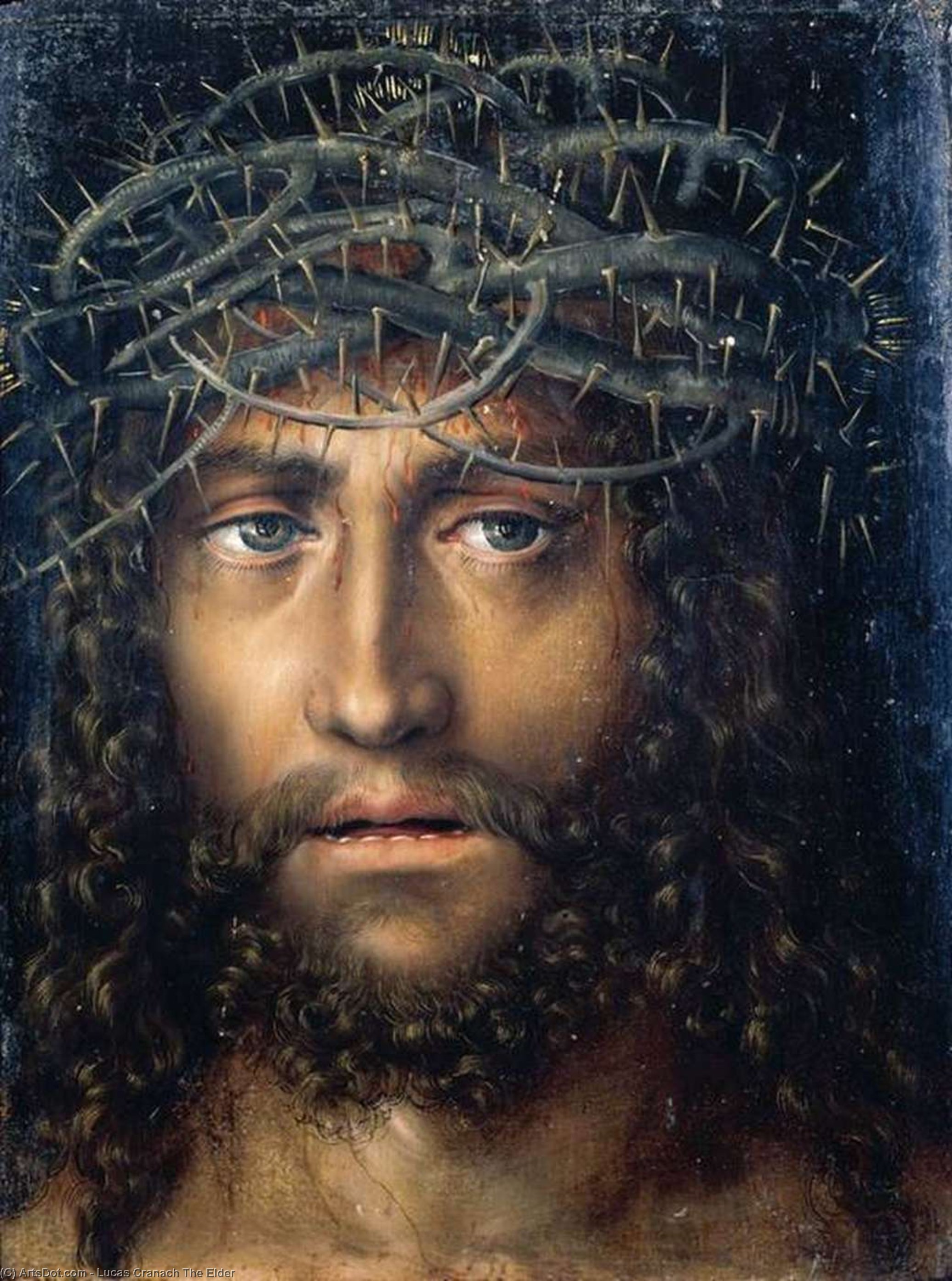 Wikioo.org - The Encyclopedia of Fine Arts - Painting, Artwork by Lucas Cranach The Elder - Head of Christ Crowned with Thorns