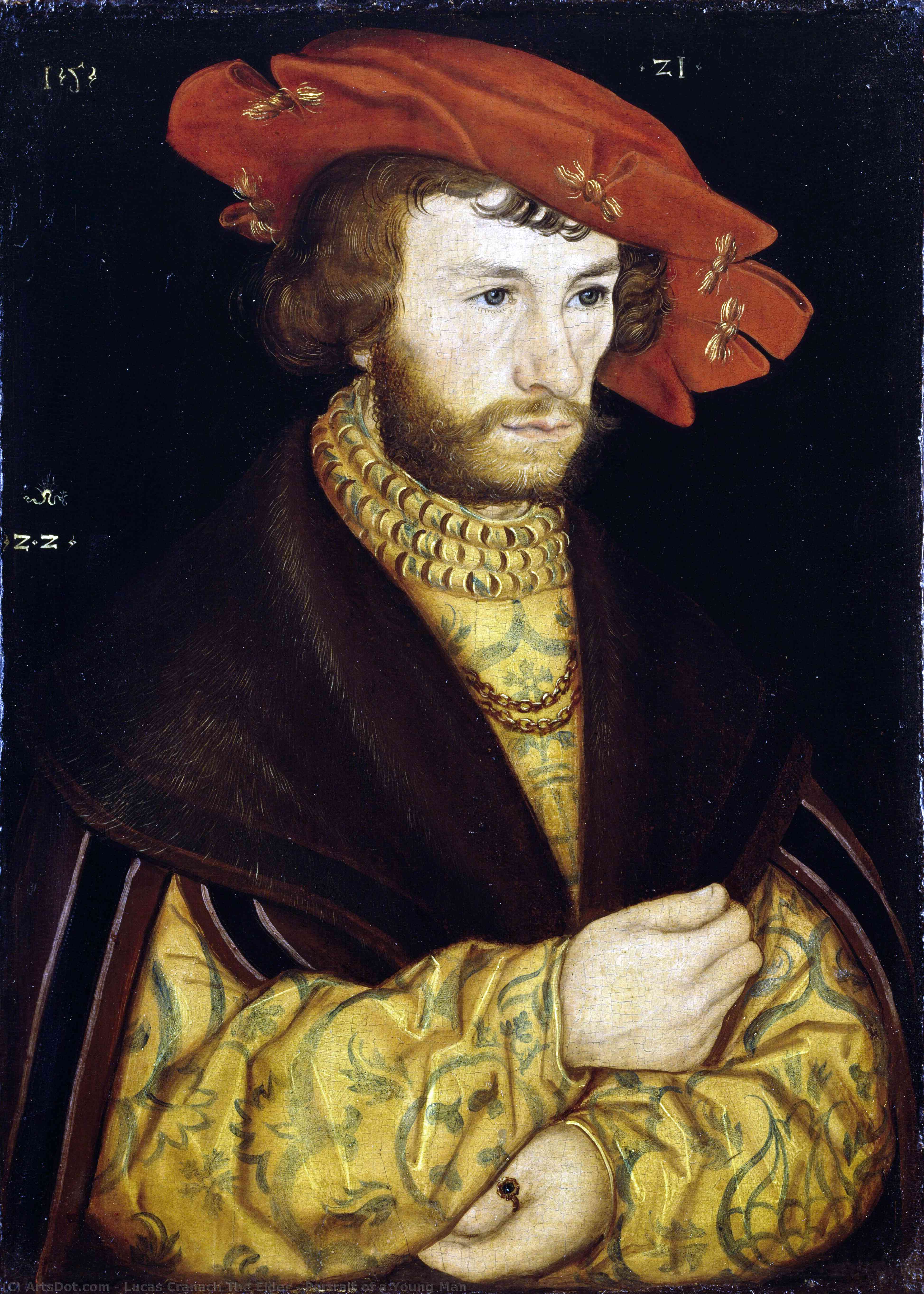 WikiOO.org - Енциклопедія образотворчого мистецтва - Живопис, Картини
 Lucas Cranach The Elder - Portrait of a Young Man