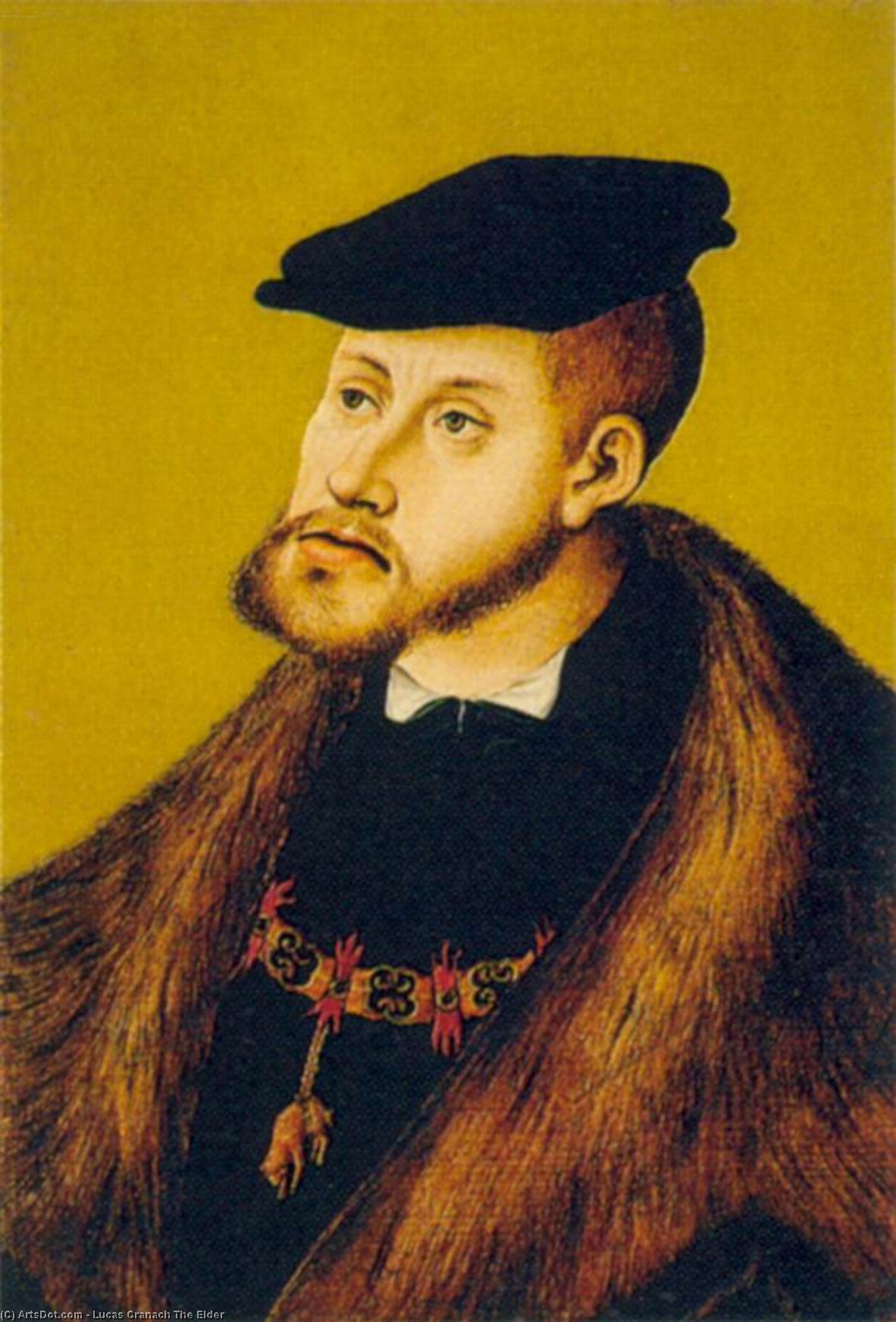 Wikioo.org - The Encyclopedia of Fine Arts - Painting, Artwork by Lucas Cranach The Elder - Portrait of Charles V