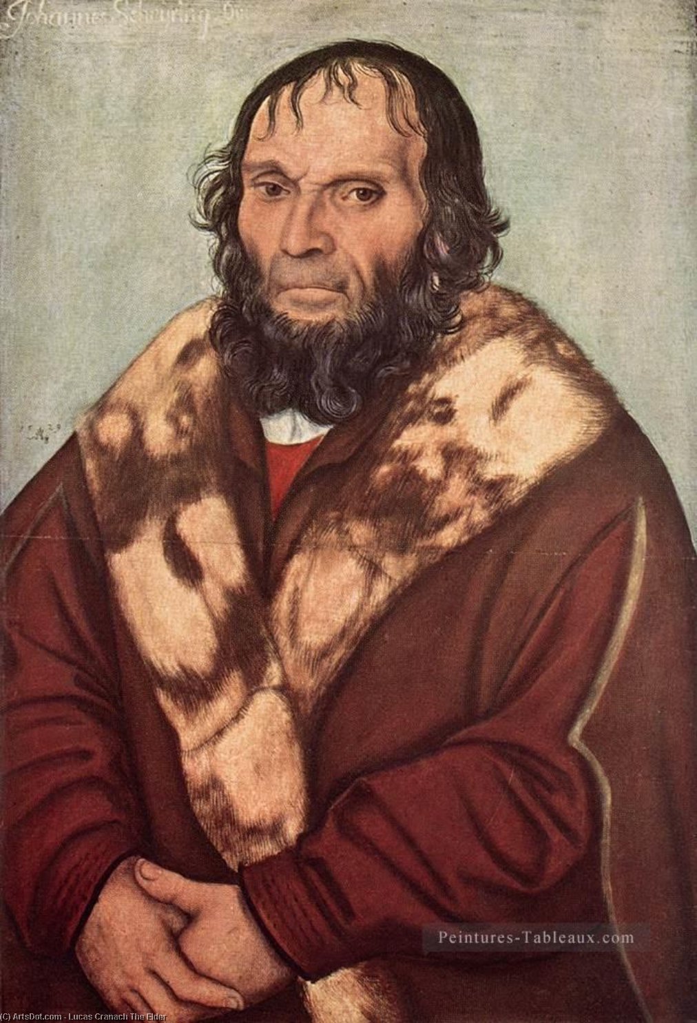 Wikioo.org - The Encyclopedia of Fine Arts - Painting, Artwork by Lucas Cranach The Elder - Portrait of Dr. J. Scheyring