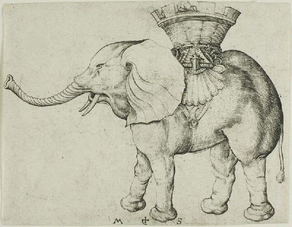 Wikioo.org - The Encyclopedia of Fine Arts - Painting, Artwork by Martin Schongauer - The Elephant